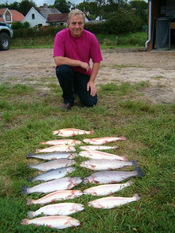 Camping Holme A & Hovborg